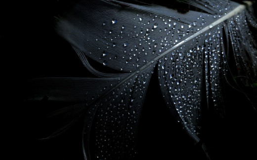 535086 (a): :1920x1200